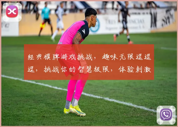 经典旗牌游戏挑战，趣味无限逗逗逗，挑战你的智慧极限，体验刺激对决