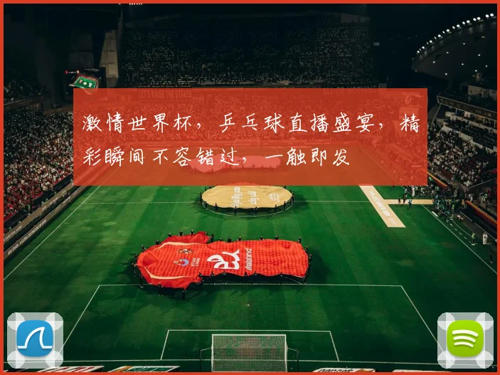 激情世界杯，乒乓球直播盛宴，精彩瞬间不容错过，一触即发