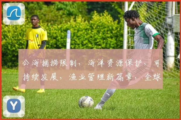 公海捕捞限制，海洋资源保护，可持续发展，渔业管理新篇章，全球合作共守。